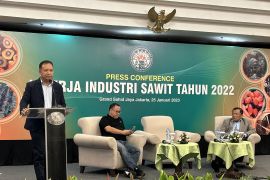 Gapki sebut kinerja industri sawit stagnan empat tahun terakhir