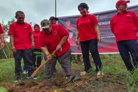 Kader PDIP Kaltim lakukan penanaman pohon penghijauan