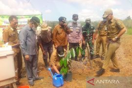 Pemkab Tabalong prioritaskan pengembangan sektor agrowisata