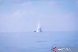 PSDKP ungkap pelaku pengeboman ikan di laut Natuna