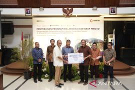 Pemprov Babel kembangkan tanaman sapu-sapu di bekas tambang timah