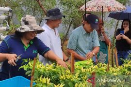 Anggota DPD: Tidak ada alasan Bali sampai kekurangan pangan