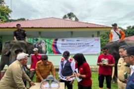 PT Hutama Karya-BBKSDA-RSF pasang GPS Collar antisipasi konflik gajah
