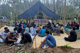 Disbunnak: 1.200 hektare kebun karet terserang penyakit gugur daun