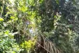 Empat personel TNI-Polri dilaporkan hilang di kali Diguel  Pegubin