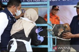 Kaltim  masuk wilayah bebas PMK hewan ternak