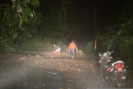 Belasan titik longsor dan pohon tumbang, akses ke wisata Iboih lumpuh total