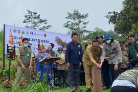 KLHK bersama TSI dan Smelting lepas liarkan dua Elang Jawa