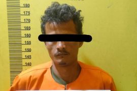 Cabuli cucu, kakek di Rokan Hilir dibekuk usai buron tiga bulan