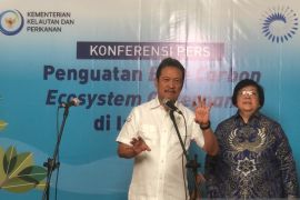 Blue carbon studies can support climate change mitigation: ministry