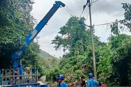 24 tiang listrik di Sabang rusak akibat terdampak longsor dan pohon tumbang