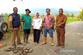 Kepala Desa Muaratais Dua berburu hama tikus untuk menjaga panen petani