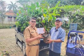 Lestarikan alam, Pemkab Lebak lakukan gerakan penghijauan di lahan kritis