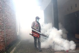 Pemerintah targetkan nol kematian demam berdarah pada 2030