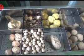 Mencicipi bakso talas dalam gerabah di Kota Bogor