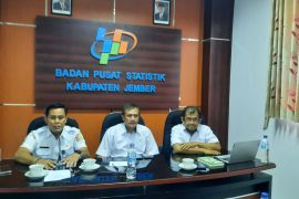 Cabai rawit penyumbang inflasi terbesar di Jember