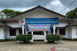 PT BPP Pasbar tegaskan putusan pengadilan mengenai lahan plasma belum final