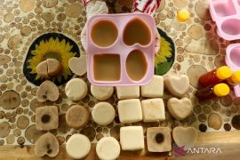 Sabun ramah lingkungan