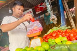 Harga beras dan bahan pokok lainnya di Aceh Barat naik, begini penjelasannya