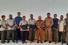 Pemkab Teluk Wondama segera datangkan bibit sapi potong