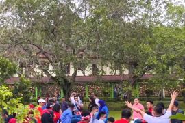 Dispora Kota Ambon dorong Pariwisata Olahraga di Maluku