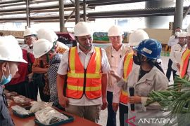 Kementerian PPN-Bappenas tinjau pabrik smelter di Morosi Konawe Sultra