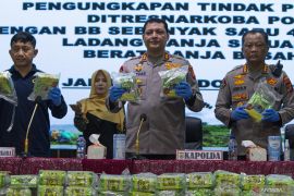 FOTO - Polda Aceh Gagalkan Peredaran Narkoba Jaringan Internasional