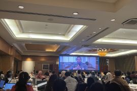 Bappenas: Kondisi ekosistem gambut dan mangroves terus menurun