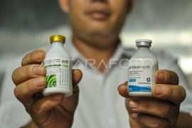 Percepatan Pengendalian PMK di Bengkulu