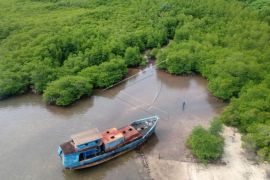 Potensi Ekowisata Mangrove Teluk Buo Padang Page 1 Small