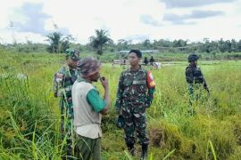 Kodim 1715 Yahukimo kerahkan 20 prajurit bantu olah sawah petani