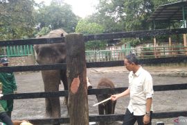 Pengelolaan Wisma Atlet,  Heru ikuti kebijakan Pusat