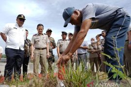 Masyarakat Solok Selatan diingatkan pasang batas tanah biar tak dicaplok