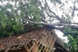 Angin kencang akibatkan kerusakan bangunan di Kabupaten Sukabumi