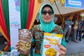 Kepri miliki 17 BUMDes klasifikasi maju