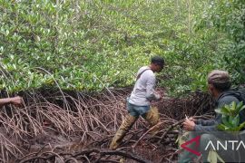 Warga Gorontalo Utara hilang di hutan bakau belum ditemukan