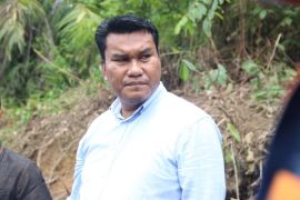 Kasus "singkong" mencuat, dewan segera panggil pengurus kelompok tani dan pimpinan BAS