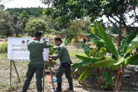 40 persen hutan Pulau Bintan rusak