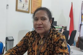 KPU RI tunjuk anggota KPU Papua tangani 3 DOB