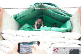 Mentan pastikan stok beras aman hingga Lebaran 1444 H