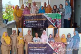 Dekranasda Bangka Tengah dukung pemerintah daerah kembangkan produk kreatif