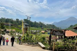 Wisata sawah dan kesegaran mata air di Sumber Gempong Trawas