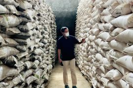 Pupuk Indonesia aims for Indonesia to become world's ammonia hub