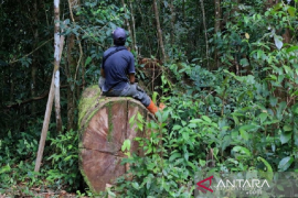 Aceh targetkan peningkatan indeks kualitas lingkungan hidup