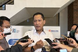 Dirut Bulog nilai mafia beras pantas dijerat hukuman subversi