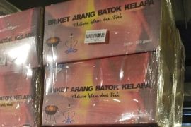 Briket bahan bakar alternatif mulai dijual di Biak