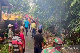 BPBD Buleleng tangani sejumlah bencana akibat hujan deras