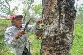 Prioritas investasi Indonesia sektor hilir