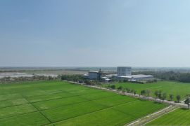 Sang Hyang Seri siapkan 18.500 ton bibit padi untuk musim tanam mendatang