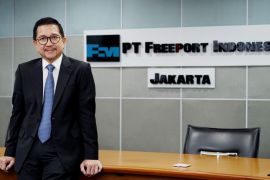 Freeport hentikan sementara penambangan dan pengolahan